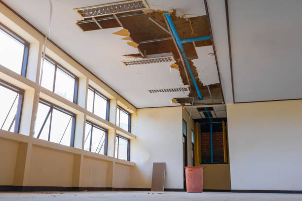 Best Carpet water damage restoration  in St James, NY