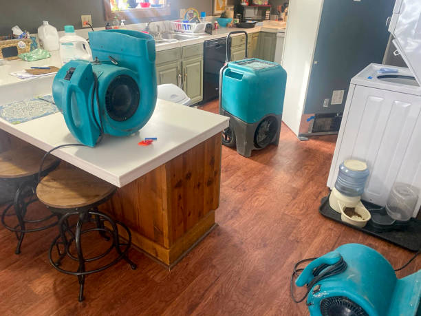Best Water damage contractors near me  in St James, NY