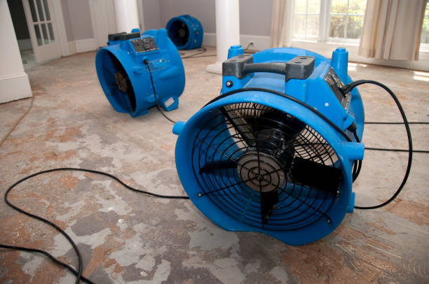 Best Professional water damage repair  in St James, NY